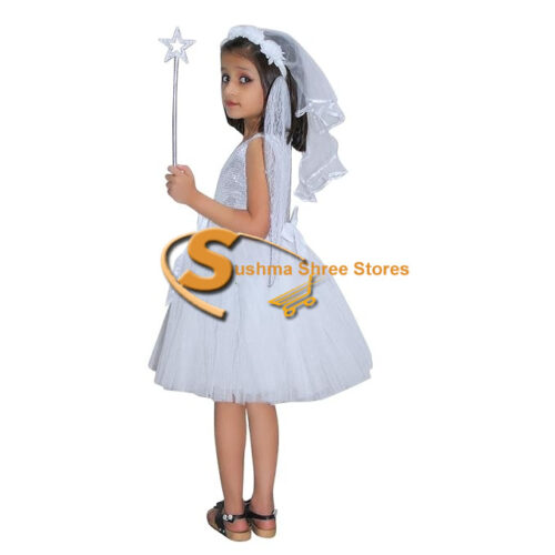 Fairy Fancy Dress Costume
