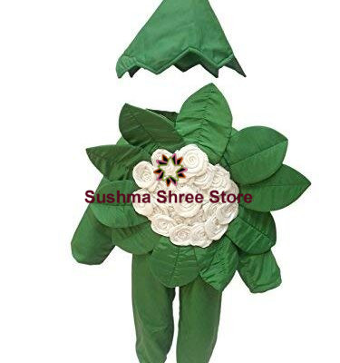 Cauliflower Vegetables Costume Cutout with Cap