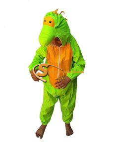 Dragon Fancy Dress for Kids