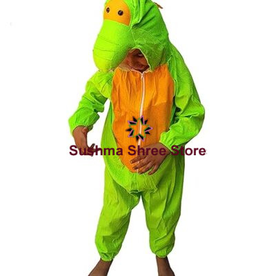 Dragon Fancy Dress for Kids