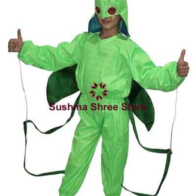 Grasshopper Fancy Dress for Kids
