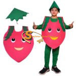Onion Fancy Dress for Kids