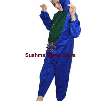Peacock Fancy Dress Costume for Kids