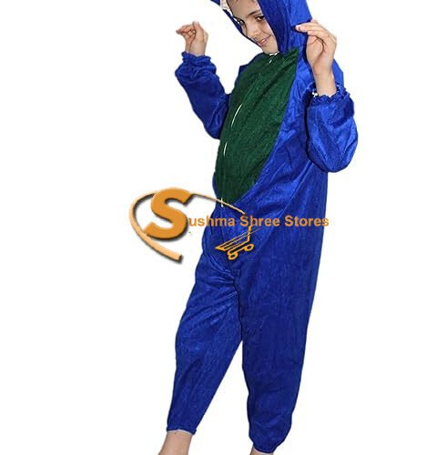 Peacock Fancy Dress Costume for Kids