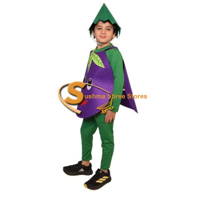 Brinjal Vegetable Cutout Costume for Kids