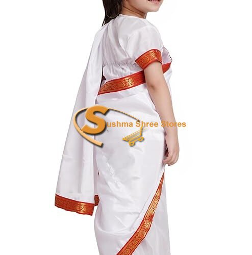 Indian State Traditional Saree