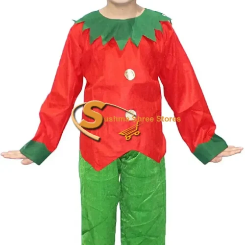Elves Fancy Dress for Kids