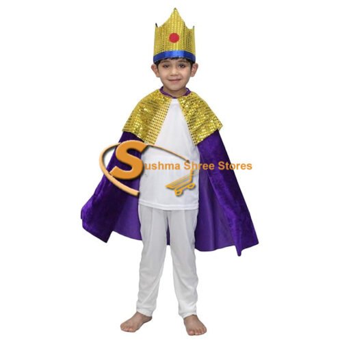 King robe and cloak purple colour