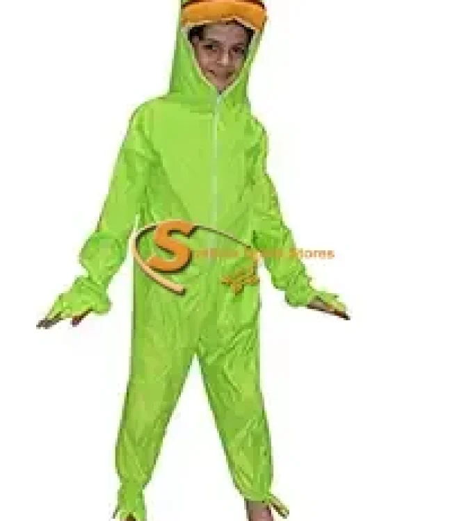 Frog Fancy Dress