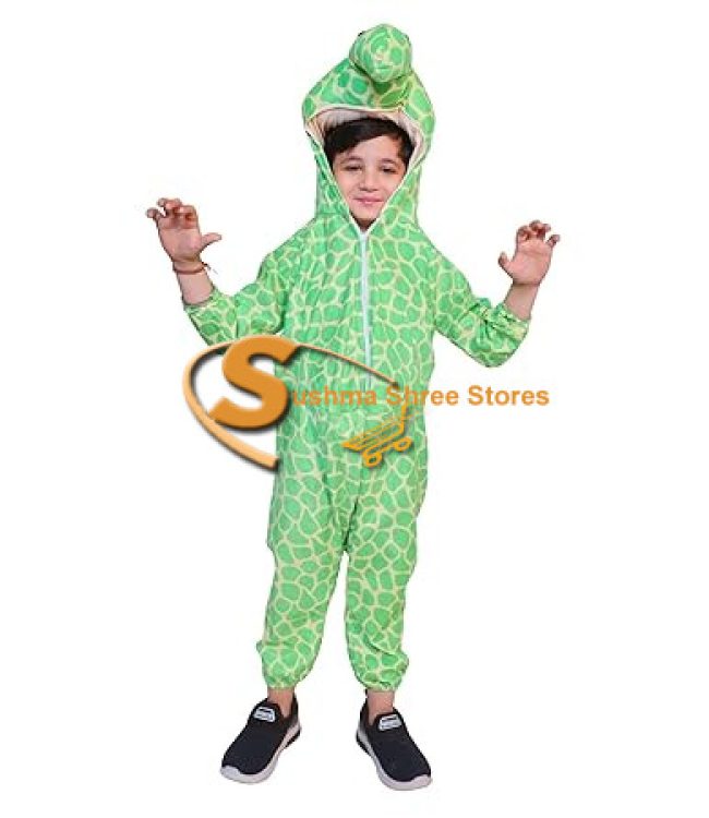 Tortoise Fancy Dress Costume